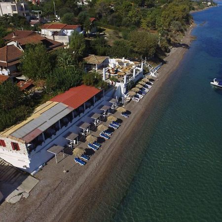 Taradella Hotel Alissos Exteriör bild