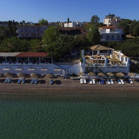 Taradella Hotel Alissos Exteriör bild
