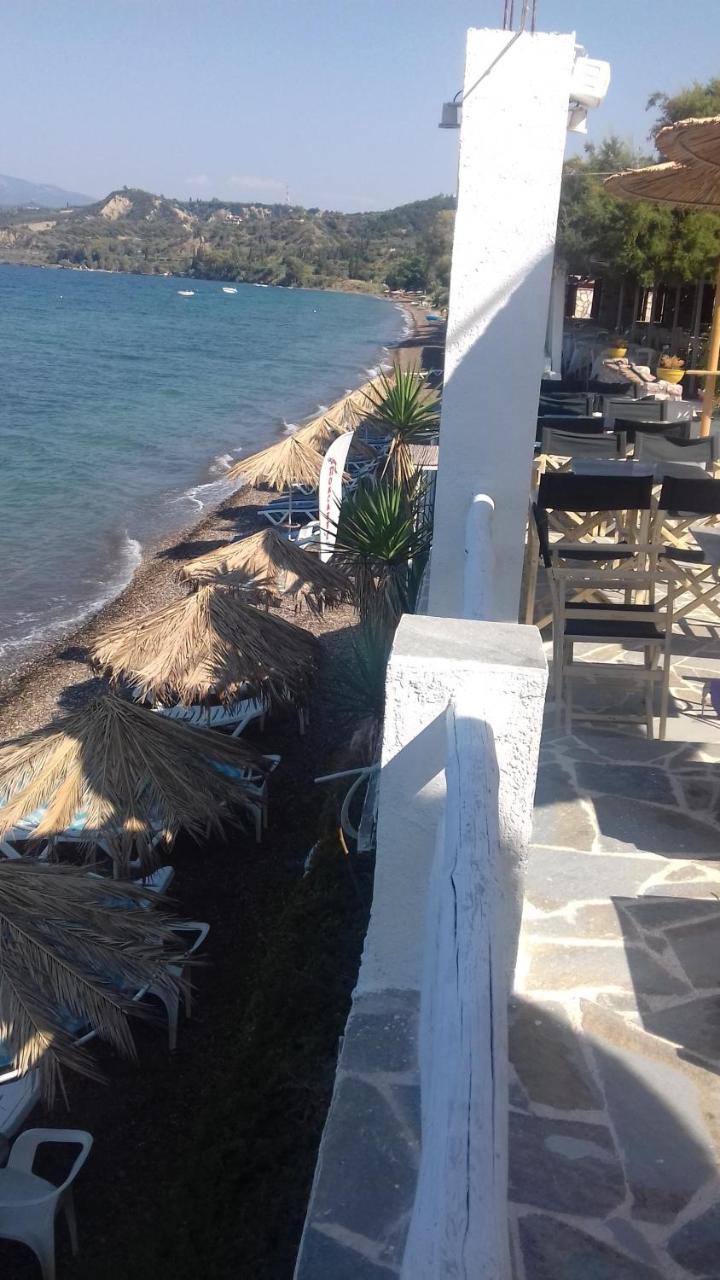 Taradella Hotel Alissos Exteriör bild